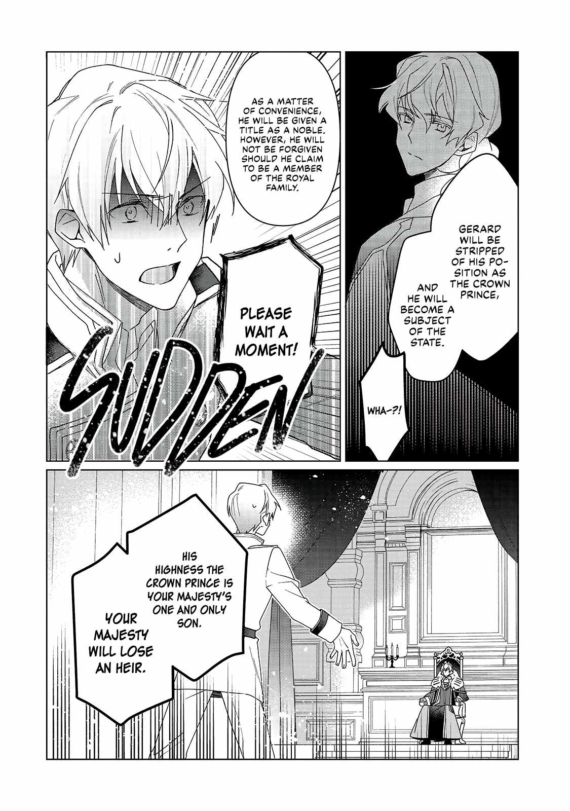 The Rubelia Kingdom's Tale ~ I Ended Up Cleaning My Younger Cousin's Mess ~ Chapter 1 14